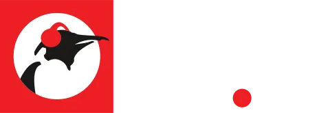Pinguin Radio