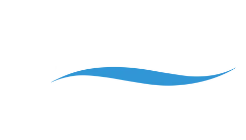 Veronica Top 3000